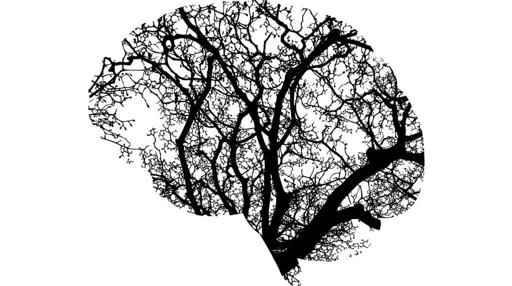 Projets innovants dans le domaine de l'intelligence artificielle